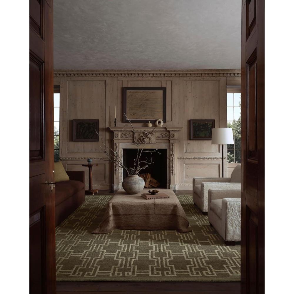 imageLoloi Jeremiah Brent Barrow Collection BAR02 MossBeige 23quot x 39quot Accent RugMoss  Beige