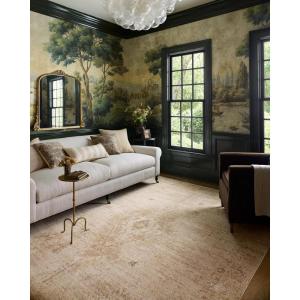 Loloi Chris Loves Julia Palma Collection PLM-01 Bark/Natural 7′-10″ x 10′ Area Rug Vintage Style Boho Living Room Bedroom Carpet(Natural / Smoke)