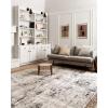 imageLoloi Alchemy Collection ALC02 GraniteGold 53quot x 76quot Area RugSilver  Graphite
