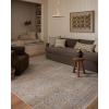 image:imageLoloi Amber Lewis Cali Collection CIL04 IvoryTobacco 710quot x 10 Area RugTaupe  Multi