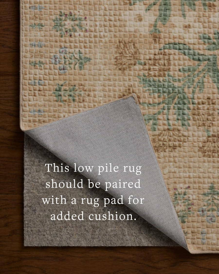 image:imageLoloi Rifle Paper Co Orchard Collection ORH04 SandMulti 50 x 76 Area Rug